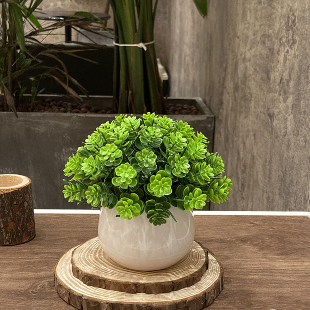 Bonsai Garden And Cafe - نبات بونساي اصطناعي واقعي في وعاء،