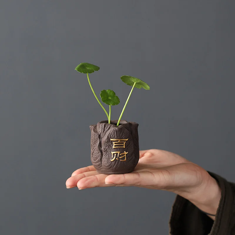 الإبداعية الأرجواني الطين الشا - مراجعة Bonsai Garden Ornaments وسعره