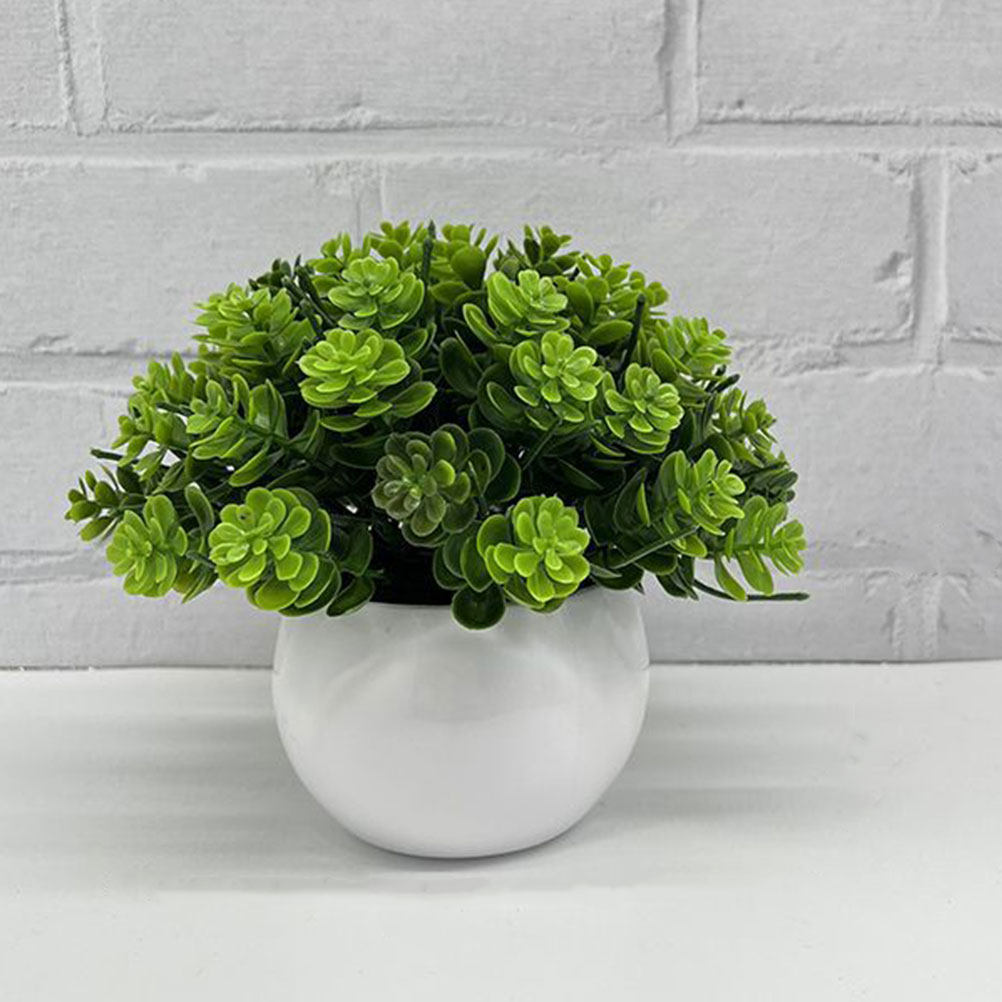نبات بونساي اصطناعي واقعي في و - مراجعة Bonsai Garden And Cafe وسعره