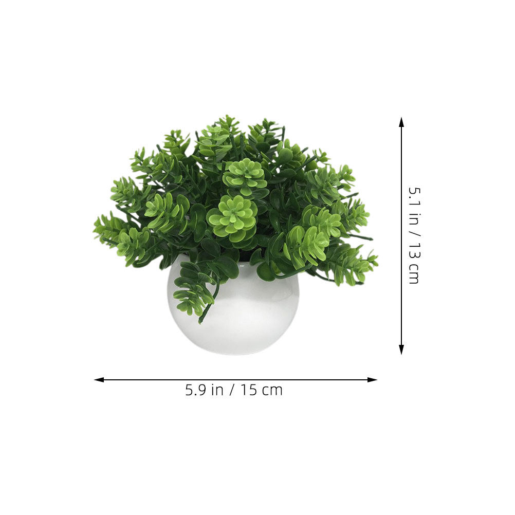 نبات بونساي اصطناعي واقعي في و - مراجعة Bonsai Garden And Cafe وسعره