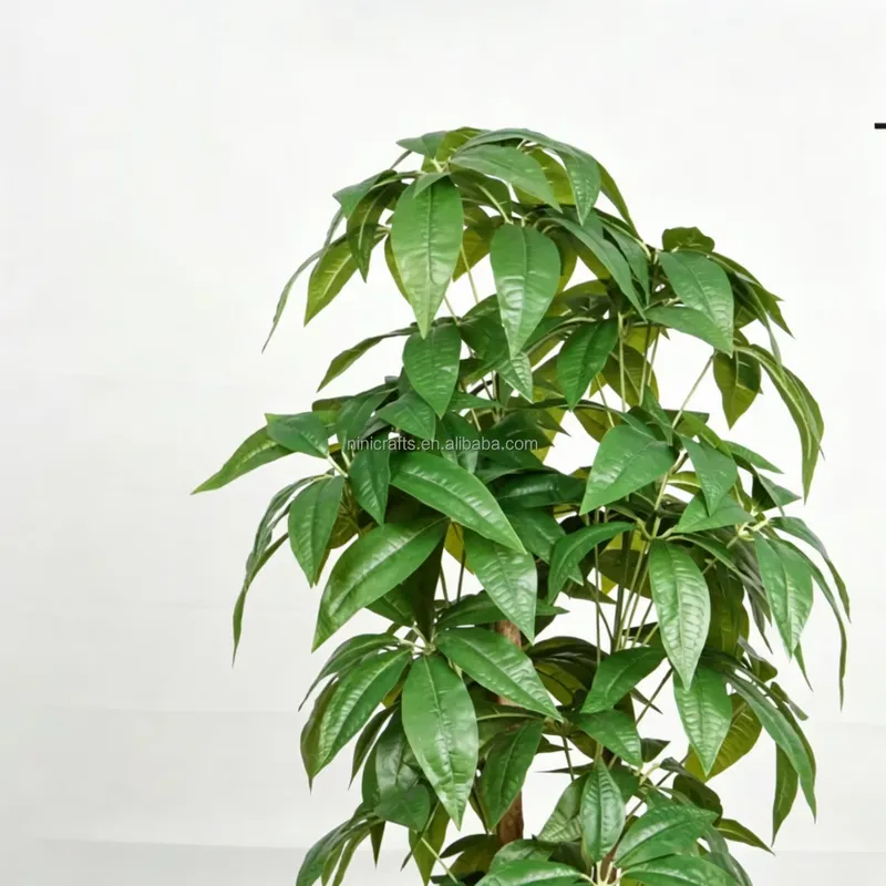 عرض ساخن: شجرة المال الاصطناعي - مراجعة Bonsai Garden For Sale وسعره