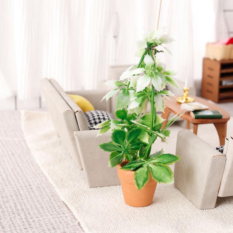 1/12 دمية محاكاة النباتات الخض - مراجعة Bonsai Garden Ornaments وسعره