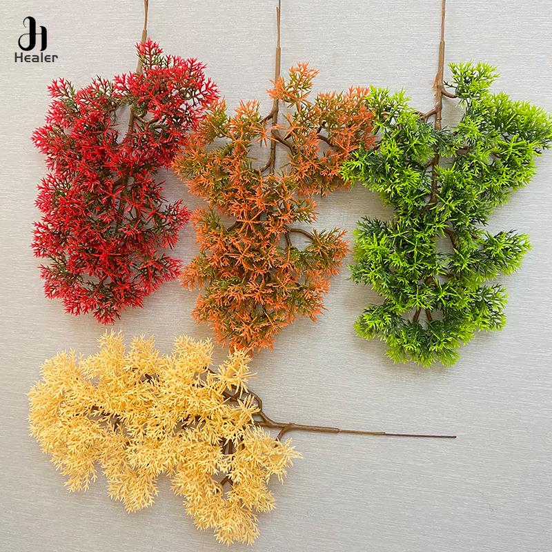 Hot البيع 1 قطعة البلاستيك وهم - مراجعة Bonsai Garden For Sale وسعره